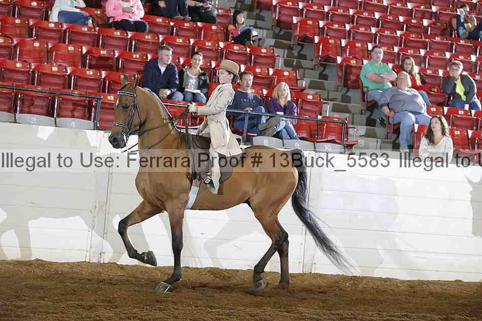 Proof 13buck_5583