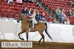13buck_5583 proof
