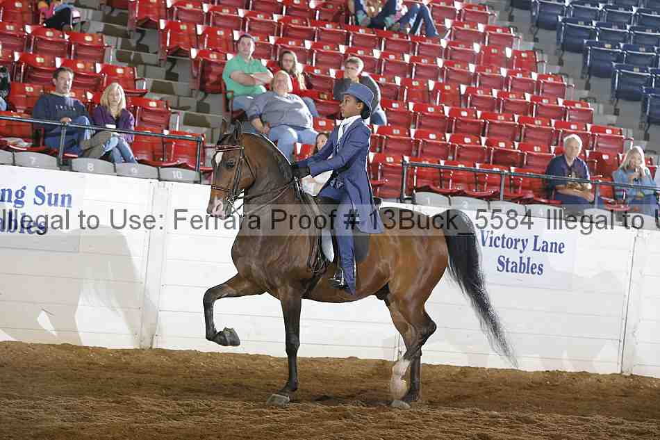 Proof 13buck_5584