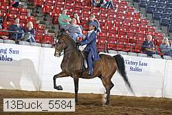 13buck_5584 proof