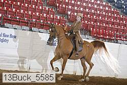 13buck_5585 proof