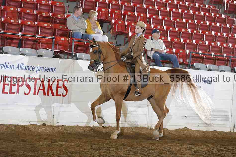 Proof 13buck_5586