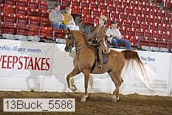 13buck_5586 proof