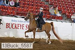 13buck_5587 proof