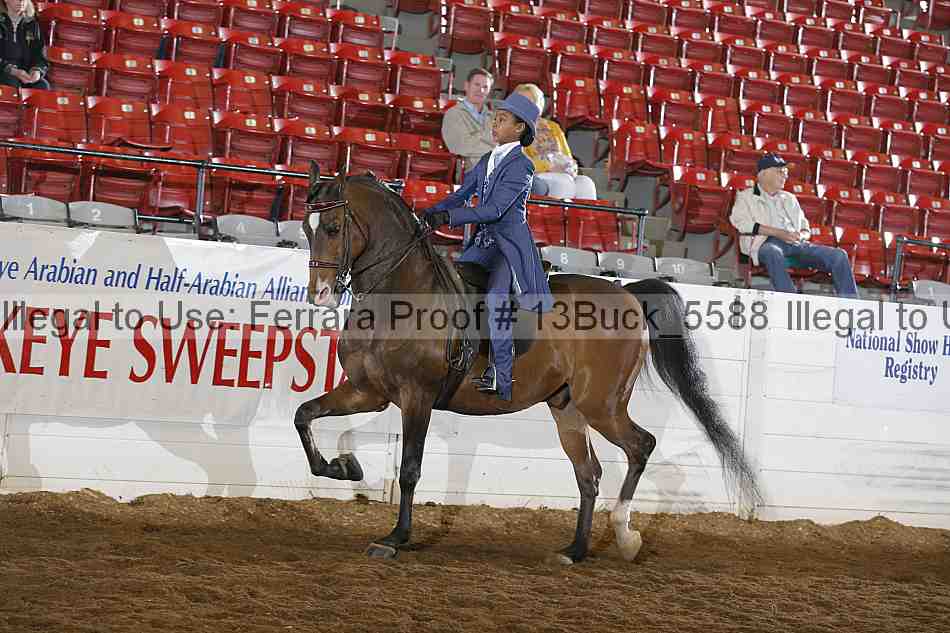 Proof 13buck_5588