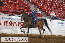 13buck_5588 proof