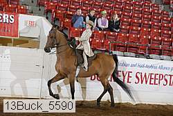 13buck_5590 proof