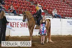 13buck_5593 proof