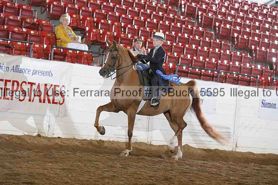 Proof 13buck_5595