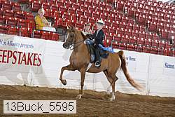 13buck_5595 proof