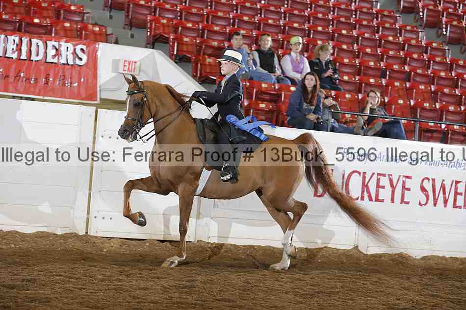 Proof 13buck_5596