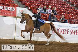 13buck_5596 proof