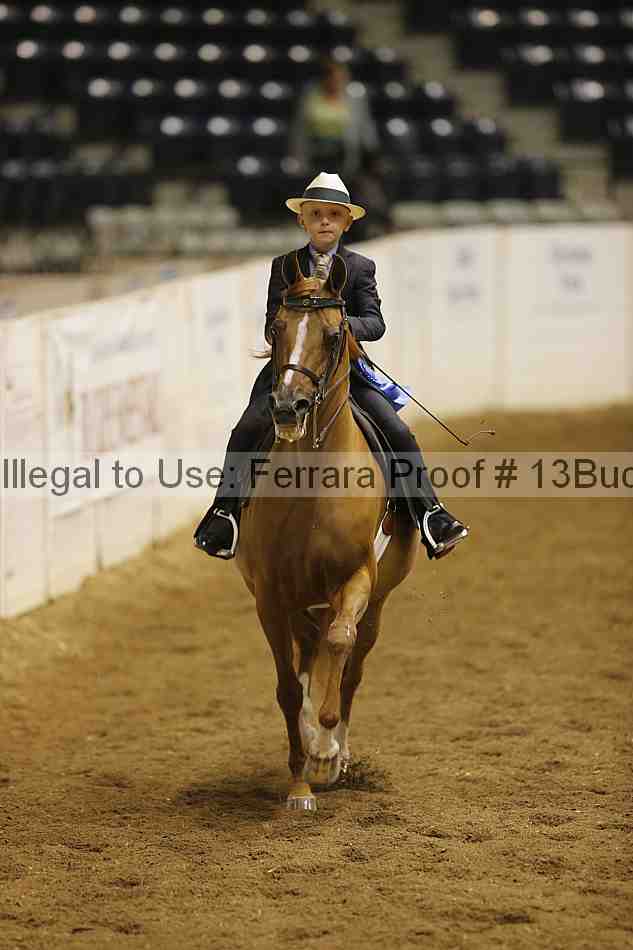 Proof 13buck_5597