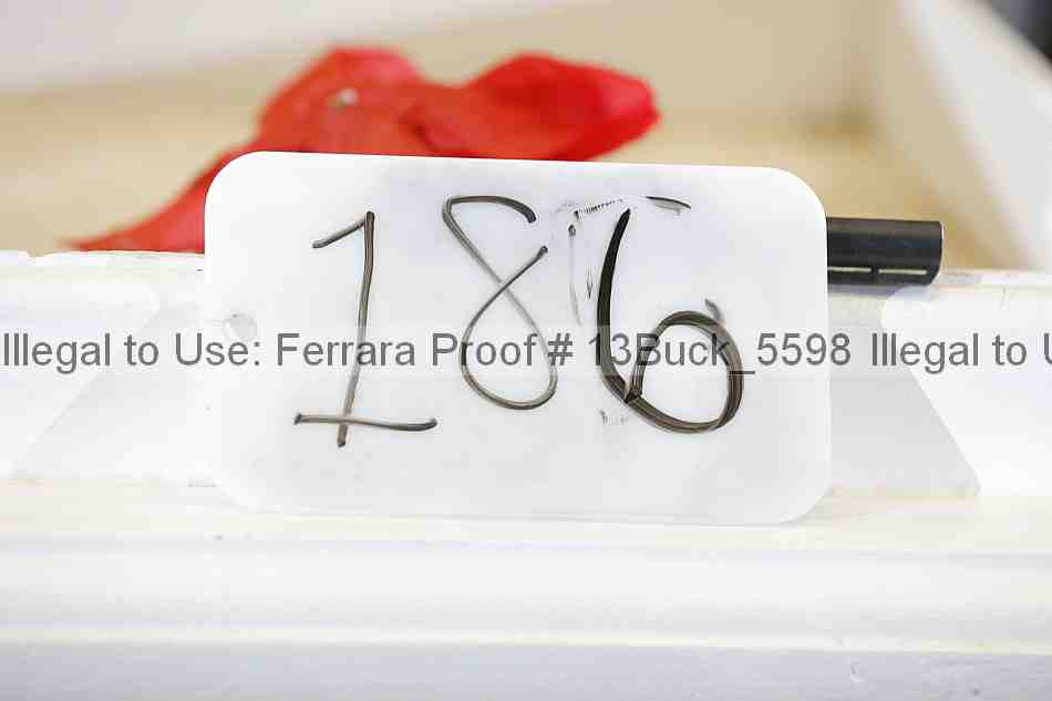 Proof 13buck_5598