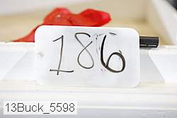 13buck_5598 proof