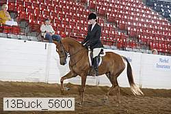 13buck_5600 proof