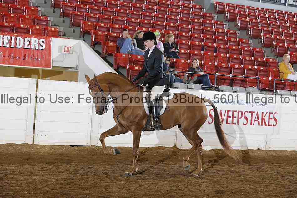 Proof 13buck_5601