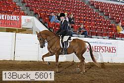 13buck_5601 proof