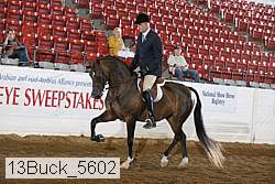 13buck_5602 proof