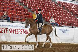 13buck_5603 proof