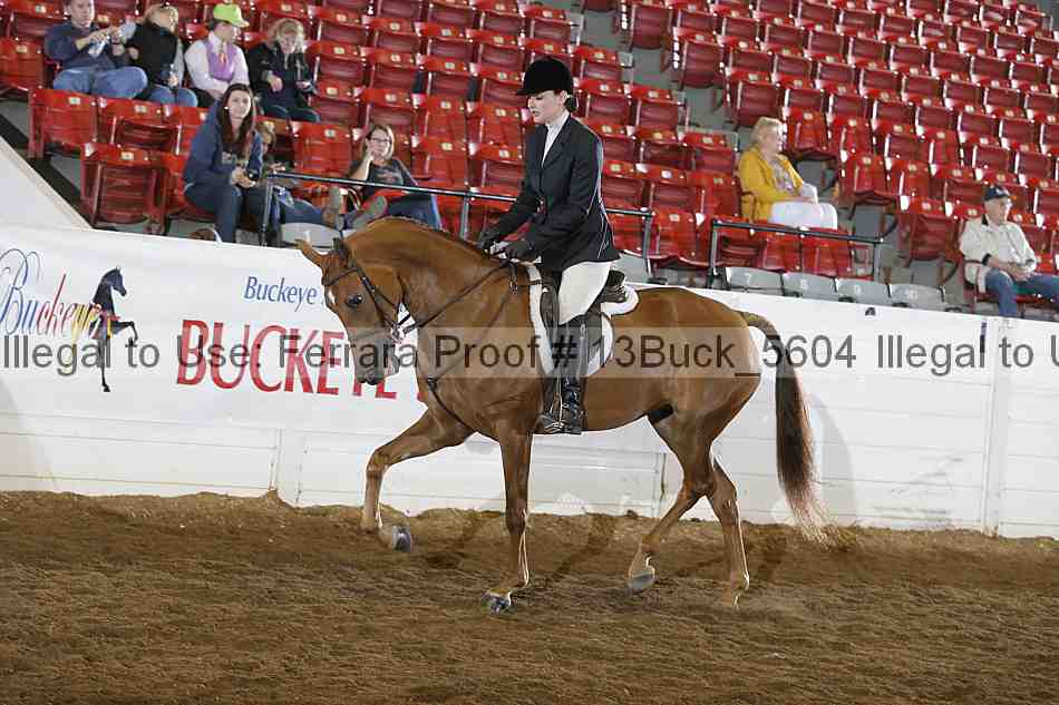 Proof 13buck_5604