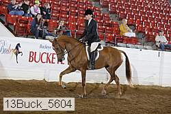 13buck_5604 proof