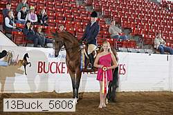 13buck_5606 proof