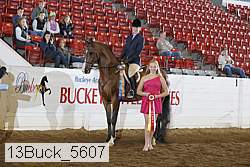 13buck_5607 proof