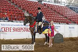 13buck_5608 proof
