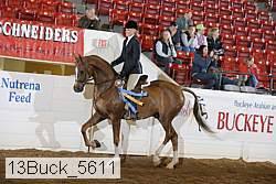 13buck_5611 proof