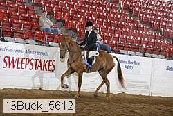 13buck_5612 proof