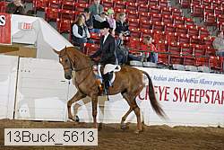 13buck_5613 proof