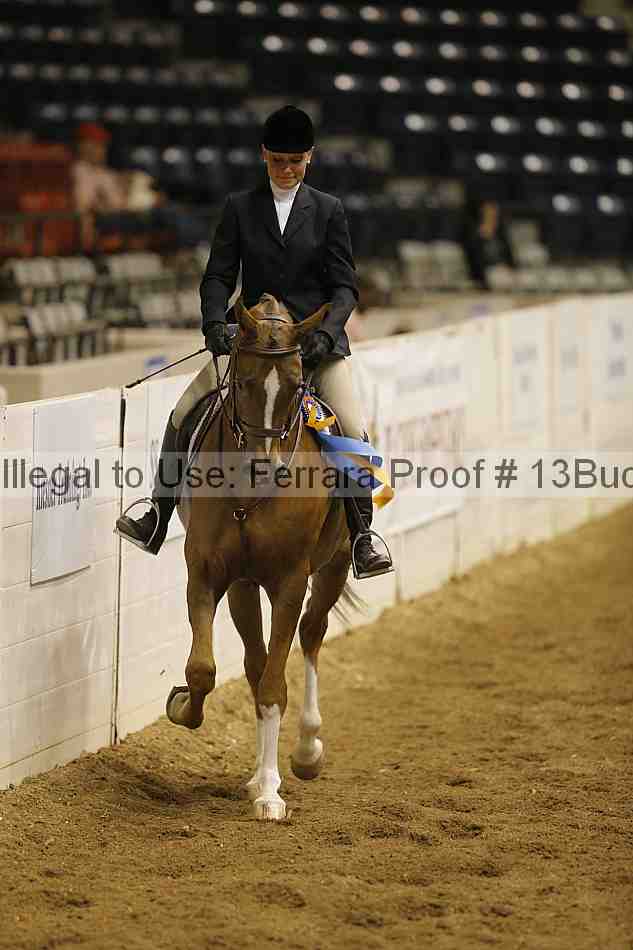 Proof 13buck_5614