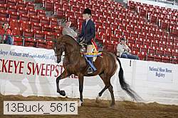 13buck_5615 proof