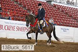 13buck_5617 proof