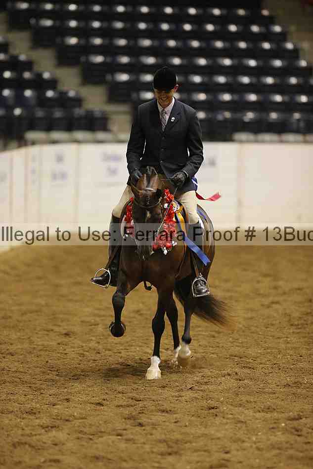Proof 13buck_5619