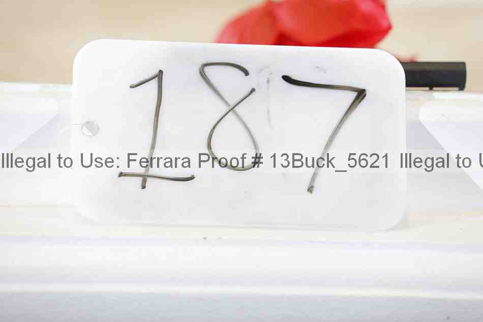 Proof 13buck_5621