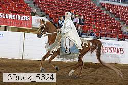 13buck_5624 proof