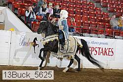 13buck_5625 proof
