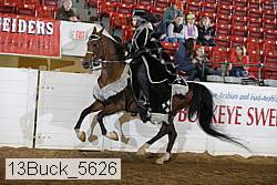 13buck_5626 proof