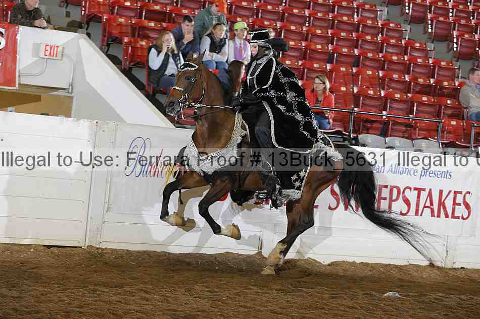 Proof 13buck_5631