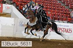 13buck_5631 proof