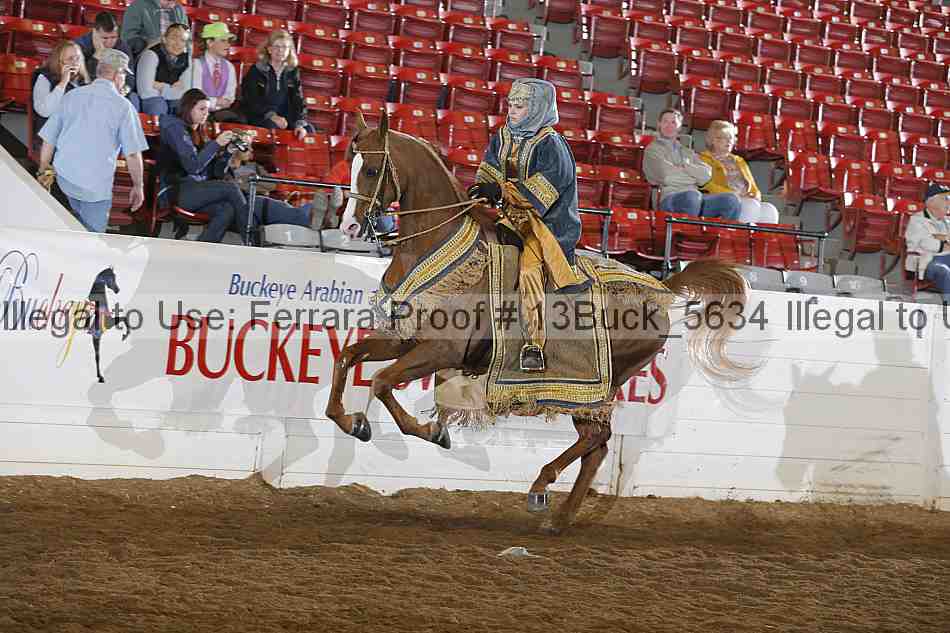 Proof 13buck_5634