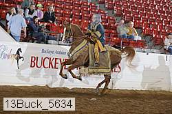 13buck_5634 proof