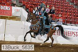 13buck_5635 proof