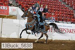 13buck_5638 proof