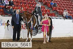 13buck_5641 proof