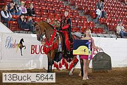 13buck_5644 proof