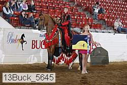 13buck_5645 proof