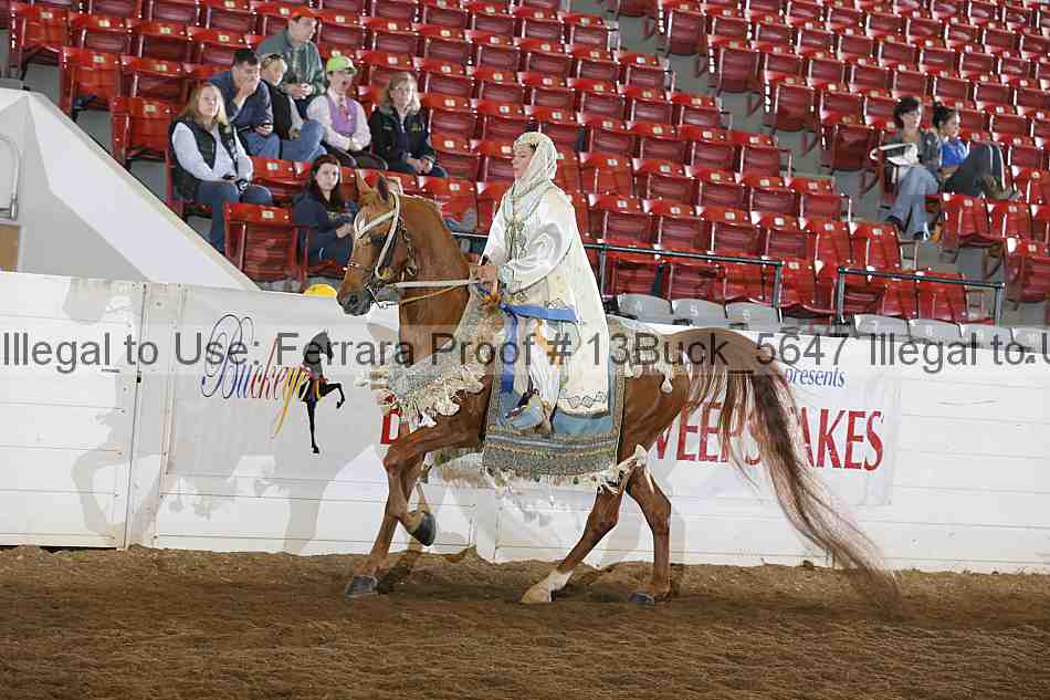 Proof 13buck_5647